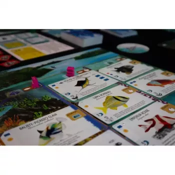 Jeu de stratégie - Finspan - En quête de jeux