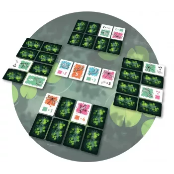 Jeu de cartes/collection - Symbiose - En quête de jeux
