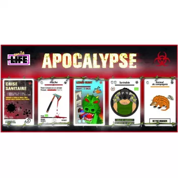 Jeu de cartes - Smile Life - extension APOCALYPSE - En quête de jeux
