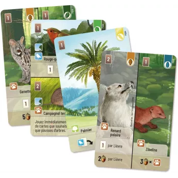 Extension Exploration du jeu Forêt Mixte