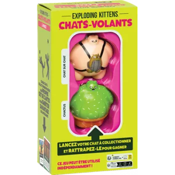 Jeu d'ambiance - Chats-Volants - En quête de jeux