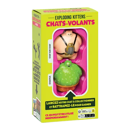 Jeu d'ambiance - Chats-Volants - En quête de jeux