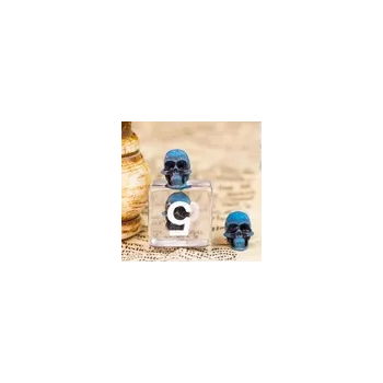 Epic Forge - Lot de dés avec insert crâne bleu - En quête de jeux