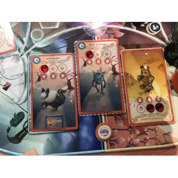 Jeu expert - Cerebria - En quête de jeux