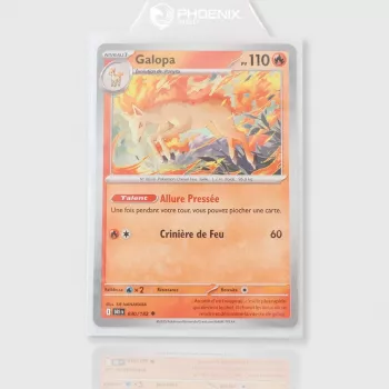 Accessoire - Phoenix Shield - En quête de jeux