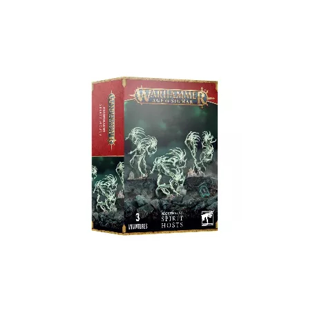 Nighthaunt - Nuées d'esprits est un kit composé d'unités de Nighthaunt