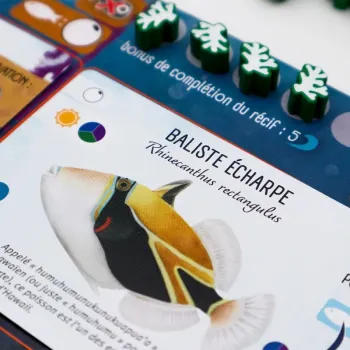 Jeu expert - Extension Requins & Récifs - En quête de jeux