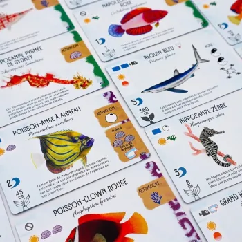 Jeu expert - Extension Requins & Récifs - En quête de jeux