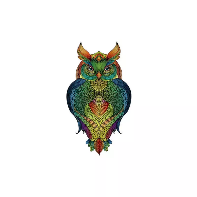 Rainbow Wooden Puzzle : Hibou - En quête de jeux