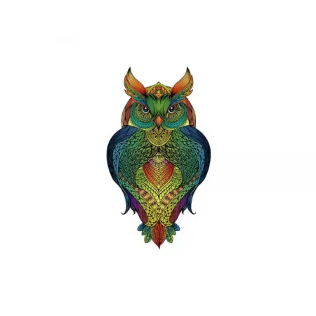 Rainbow Wooden Puzzle : Hibou - En quête de jeux