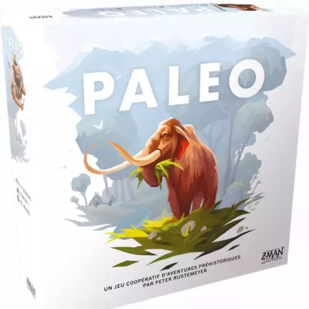 Jeu d'aventure coopératif - Paleo - En quête de jeux