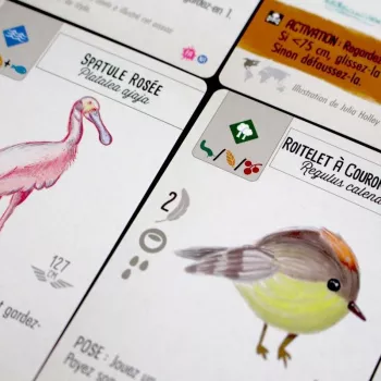 Jeu de stratégie - Wingspan - Pack Fan Art - En quête de jeux