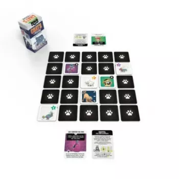jeu de tuile - Chats de poche - En quête de jeux