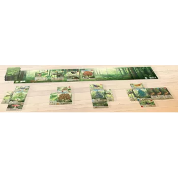 Jeu de stratégie Forêt Mixte - En Quête de Jeux