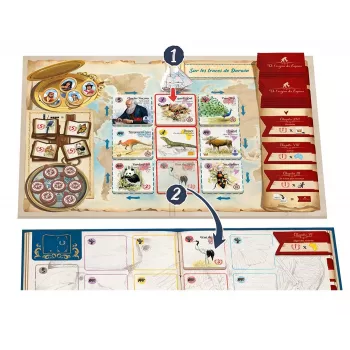 Jeu familial Sur les Traces de Darwin - En Quête de Jeux