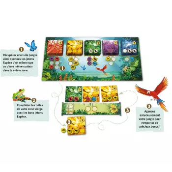 Jeu familial Rain Forest - En Quête de Jeux