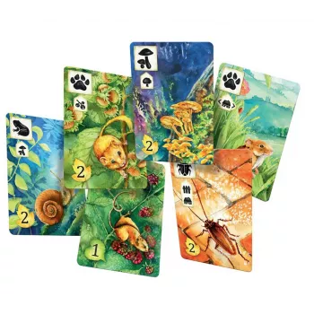 Jeu Meadow - En Quête de Jeux