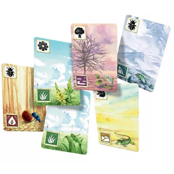 Jeu Meadow - En Quête de Jeux