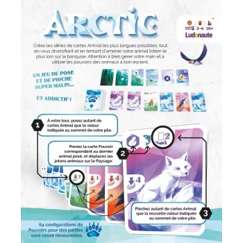 Arctic - En Quête de Jeux...