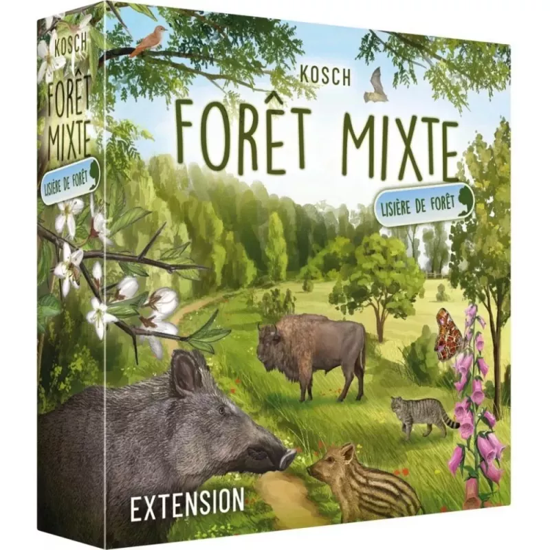Forêt Mixte - Extension Lisière de forêt Forêt Mixte - Extension Lisière de forêt