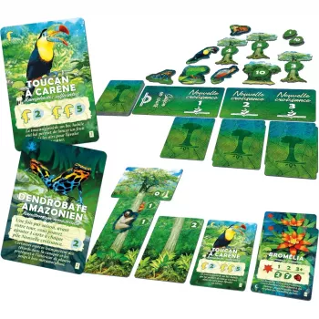 Jeu 2 joueurs - Canopée - En quête de jeux