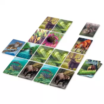 Jeu de collection de cartes Ecosystème : Forêt - En quête de jeux