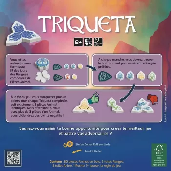 Triqueta - En Quête de Jeux
